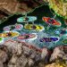 Bitcoin, Ethereum, Ripple, Bitcoin Cash, EOS, Stellar, Litecoin, Cardano, Monero, IOTA: Price Analysis, September 10