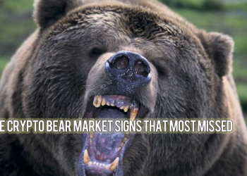 Intuitive Signs of a Cryptocurrency Bubble