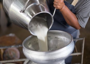 US Dairy Farmers to Trial Blockchain in Bid to Track Milk Products
