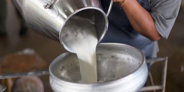 US Dairy Farmers to Trial Blockchain in Bid to Track Milk Products