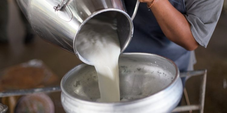 US Dairy Farmers to Trial Blockchain in Bid to Track Milk Products