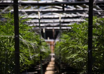 High Times Quietly Removes Crypto Payment Option From IPO Website