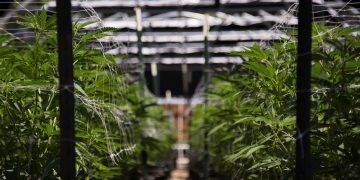 High Times Quietly Removes Crypto Payment Option From IPO Website