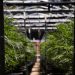High Times Quietly Removes Crypto Payment Option From IPO Website