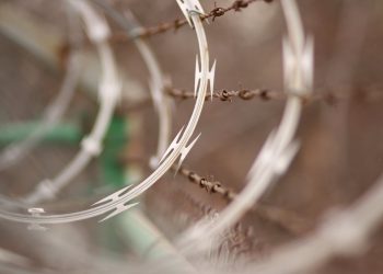 Grin Is Hard Forking Every Six Months to Keep ASICs Off the Network