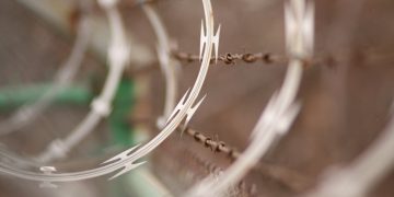 Grin Is Hard Forking Every Six Months to Keep ASICs Off the Network