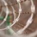 Grin Is Hard Forking Every Six Months to Keep ASICs Off the Network
