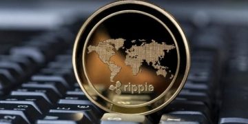 Everything You Need To Know About Ripple XRapid