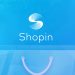 Decentralized Shopper Profile Built on the Blockchain