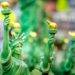 One of Investors’ Favorite Governance Blockchains Is Handing Over $20 Million