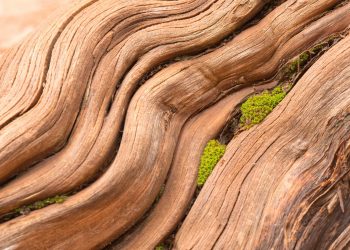 Bitcoin’s Taproot Privacy Tech Is Ready – But There’s a Catch