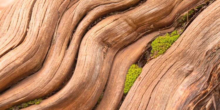 Bitcoin’s Taproot Privacy Tech Is Ready – But There’s a Catch