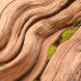 Bitcoin’s Taproot Privacy Tech Is Ready – But There’s a Catch