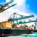 US Customs Agency Hopes to Evaluate Blockchain Pilot by December