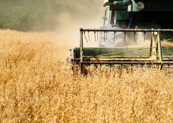 Four Agricultural Giants Eye Blockchain in Push to Digitize Global Trade