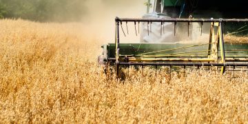 Four Agricultural Giants Eye Blockchain in Push to Digitize Global Trade