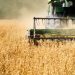 Four Agricultural Giants Eye Blockchain in Push to Digitize Global Trade