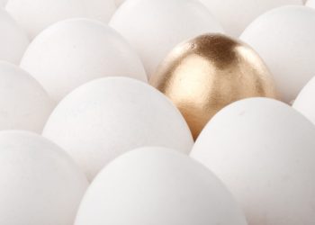 A16z, Binance and More Back Oasis Labs’ New Blockchain Incubator