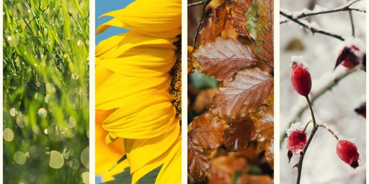 Planting Bitcoin Part Two: Seasons