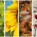 Planting Bitcoin Part Two: Seasons