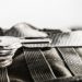 Paradigm Leads $30 Million Funding for Crypto Privacy Startup StarkWare