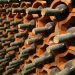 Overstock’s Medici Ventures Invests in Wine-Tracking Blockchain Startup