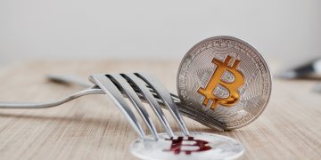 Bitcoin Cash’s ‘Hash War’ Solidifies as Network Hard Fork Approaches