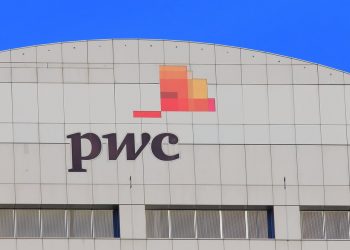 PwC Is Advising (Not Auditing) Another Stablecoin Project