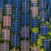 Ethereum Energy Project Now Powers 700 Households in 10 Cities