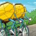 All Top Cryptos See Gains, Bitcoin Nears $3,300