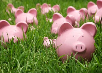 The Era of Central Bank Digital Currencies Is Within Reach