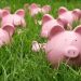 The Era of Central Bank Digital Currencies Is Within Reach