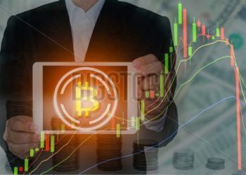 As Platforms and Exchanges Mature, Options For Purchase and Trading Are Growing
