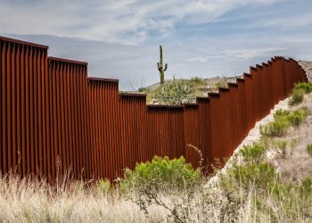 US Lawmaker Suggests ‘WallCoin’ Crypto to Fund Trump’s Mexico Border Wall
