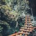 A Middle Way Forward for Blockchain