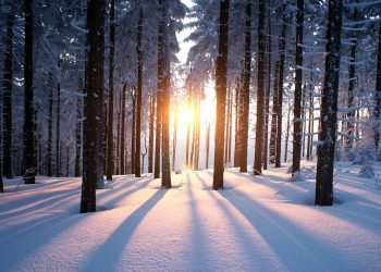Why Crypto Winter Won’t Be 2019’s Defining Story