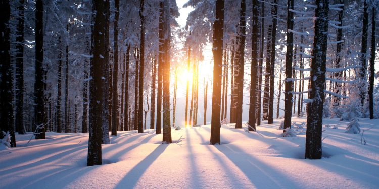 Why Crypto Winter Won’t Be 2019’s Defining Story