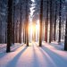 Why Crypto Winter Won’t Be 2019’s Defining Story