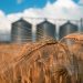 Overstock’s Medici Invests $2.5 Million in Grain Tech Firm’s Blockchain Pivot