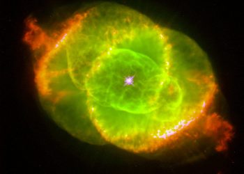 50 Cut as $60 Million Blockchain Project Nebulas Lays Off 60% of Staff