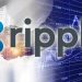 Catalyst Corporate Sings Strategic Partnership with Ripple