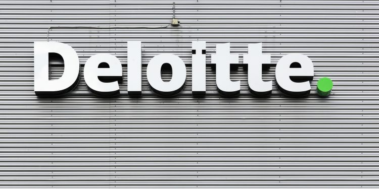 Massive Digital Attraction of Major Auditing Firms in the Crypto Sphere