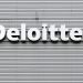 Massive Digital Attraction of Major Auditing Firms in the Crypto Sphere