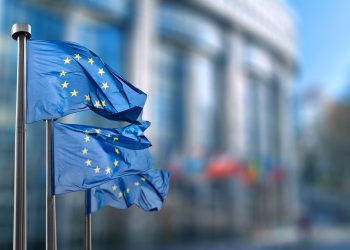European Finance Regulators Call for Bloc-Wide Crypto Rules