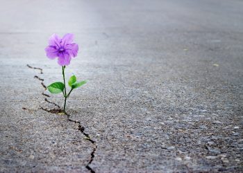 RIP ICOs: 2019 Will Be the Year of Enterprise Blockchain Tokens