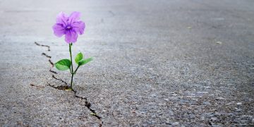 RIP ICOs: 2019 Will Be the Year of Enterprise Blockchain Tokens