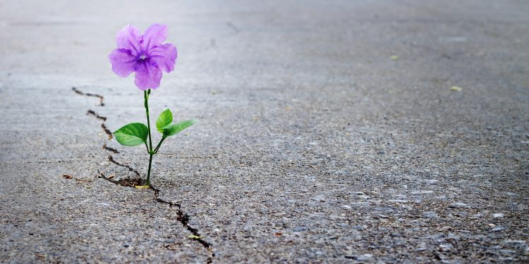 RIP ICOs: 2019 Will Be the Year of Enterprise Blockchain Tokens