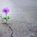 RIP ICOs: 2019 Will Be the Year of Enterprise Blockchain Tokens
