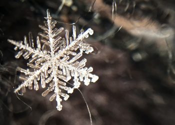 We Asked 66 Startups Just How Bad This Crypto Winter Has Been