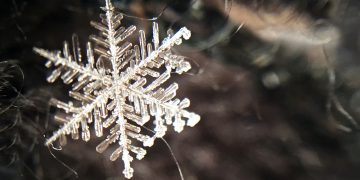 We Asked 66 Startups Just How Bad This Crypto Winter Has Been